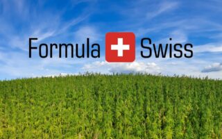 Global kvalitet, lokal tilgængelighed: Formula swiss' vækst på cannabis markedet