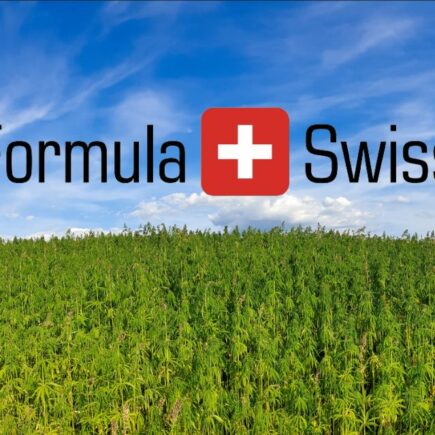 Global kvalitet, lokal tilgængelighed: Formula swiss' vækst på cannabis markedet