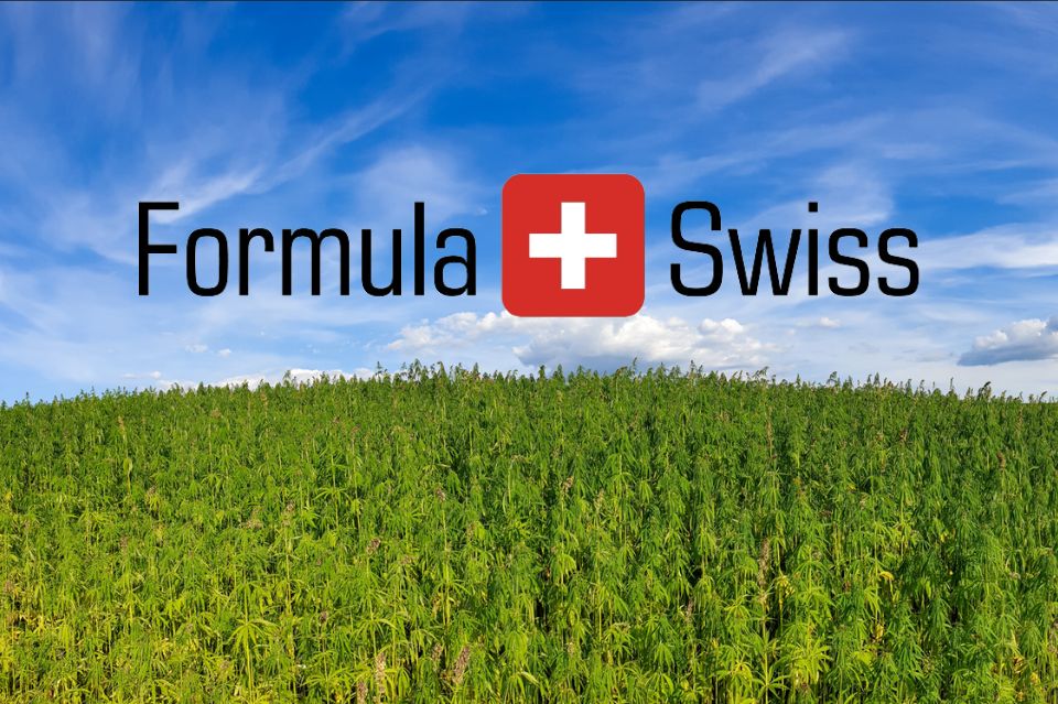 Global kvalitet, lokal tilgængelighed: Formula swiss’ vækst på cannabis markedet
